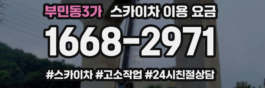 부민동3가 스카이차 이용 요금