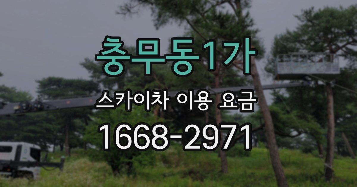 충무동1가 스카이차 이용 요금