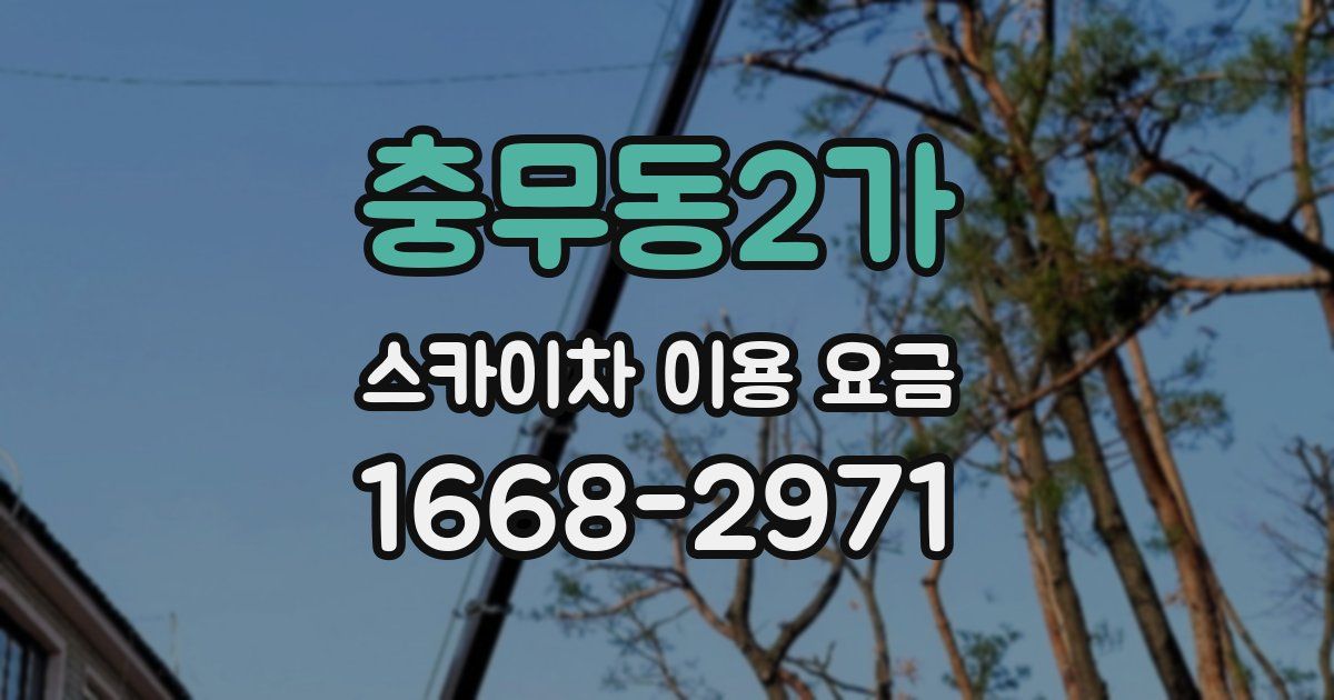충무동2가 스카이차 이용 요금