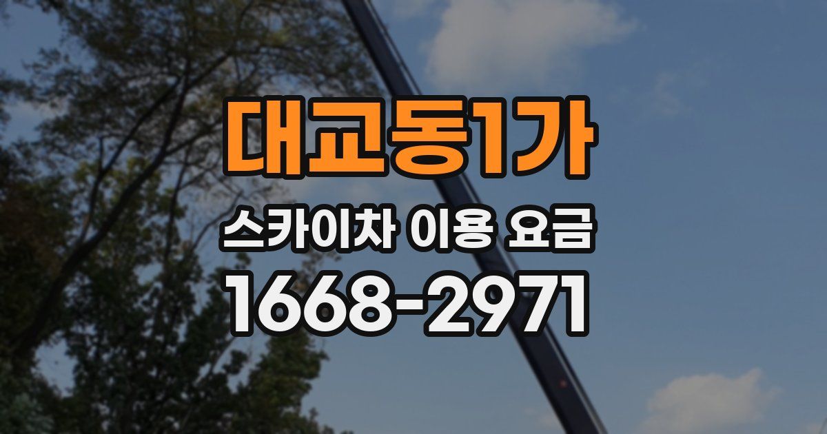 대교동1가 스카이차 이용 요금