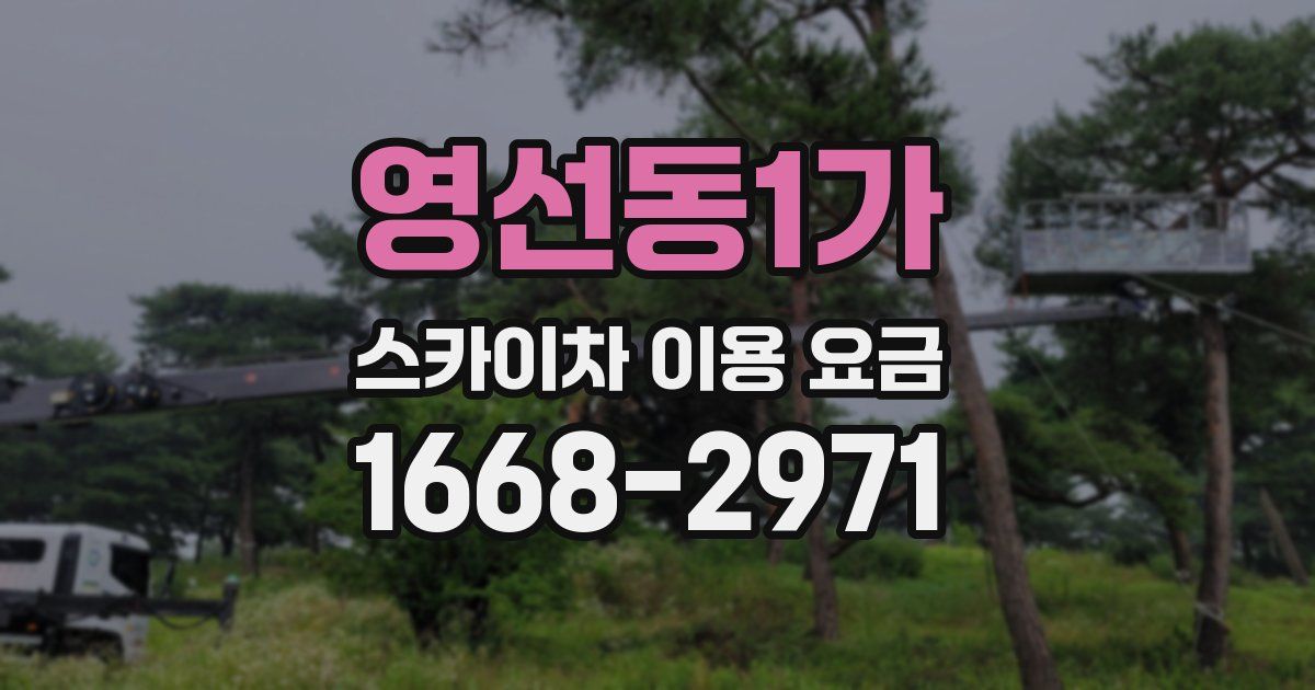 영선동1가 스카이차 이용 요금