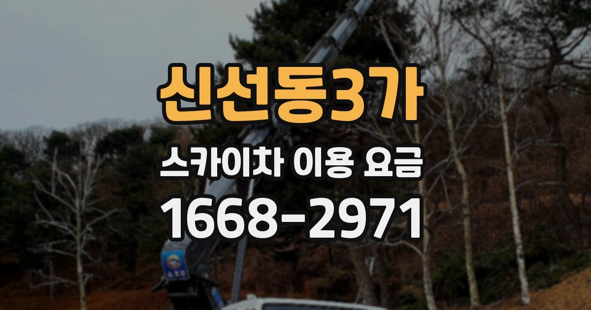 신선동3가 스카이차 이용 요금