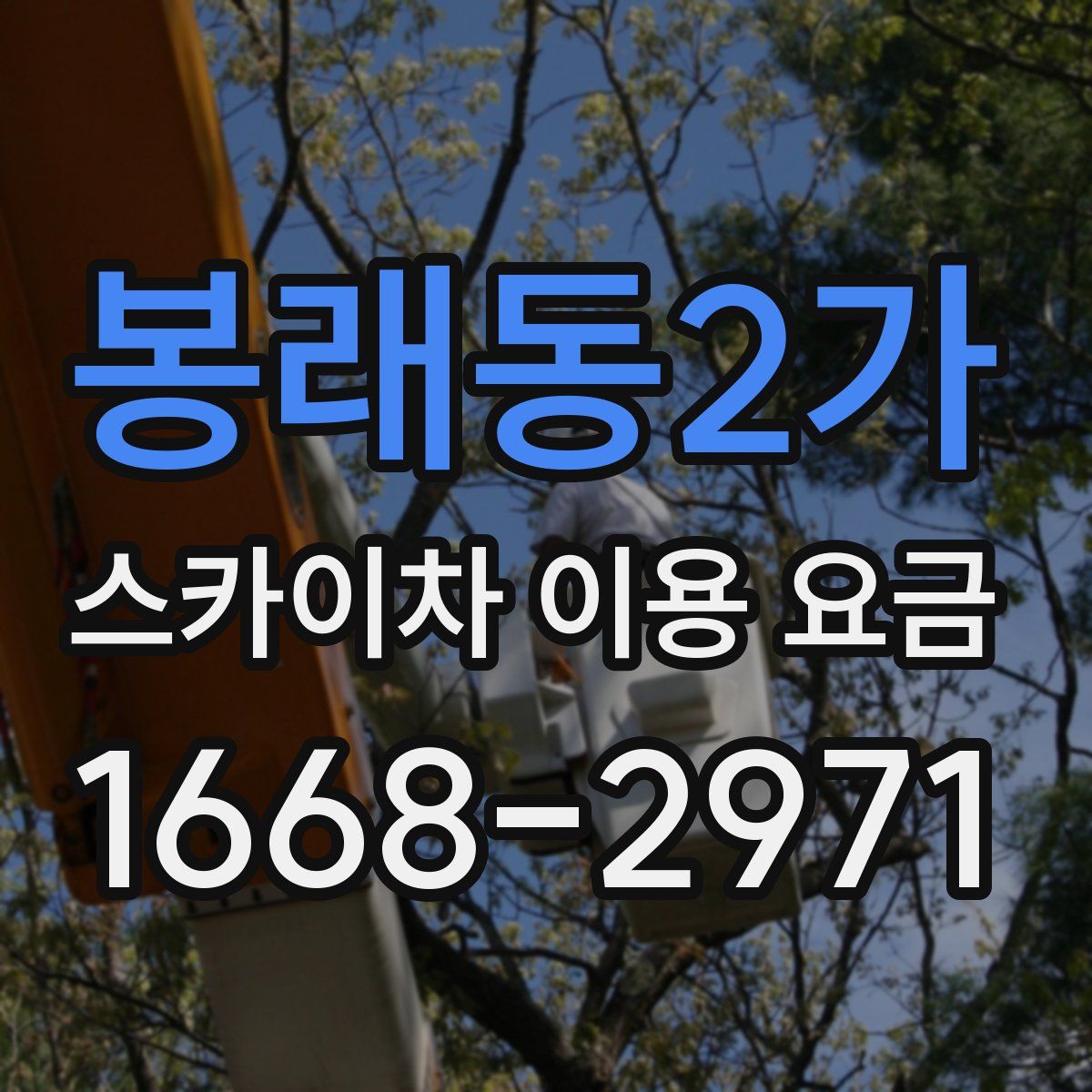 봉래동2가 스카이차 이용 요금