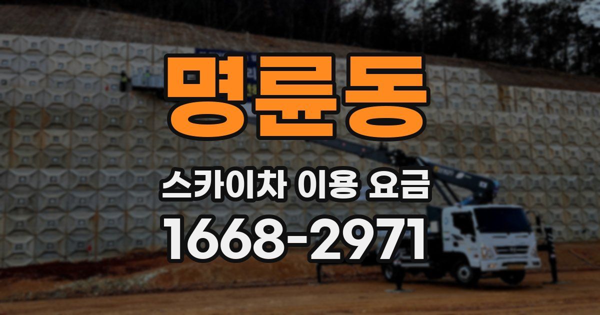 명륜동 스카이차 이용 요금