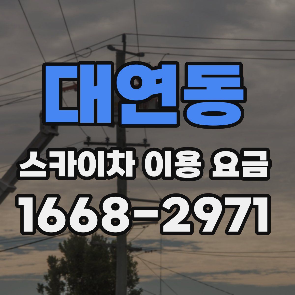 대연동 스카이차 이용 요금