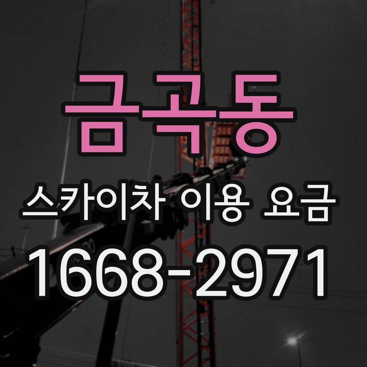 금곡동 스카이차 이용 요금