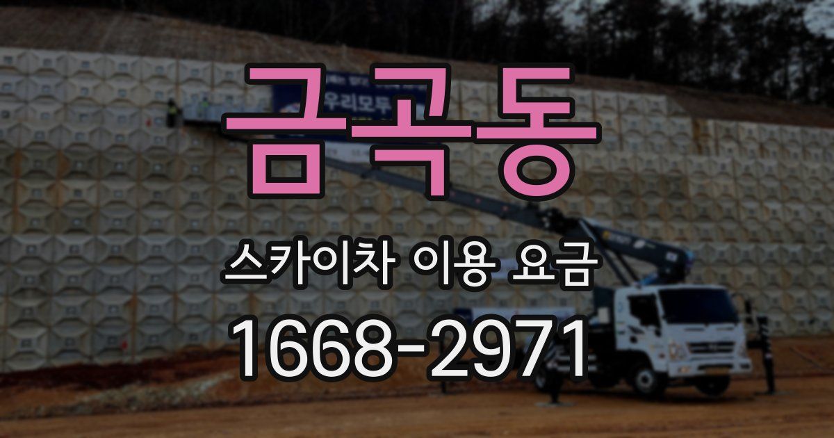 금곡동 스카이차 이용 요금