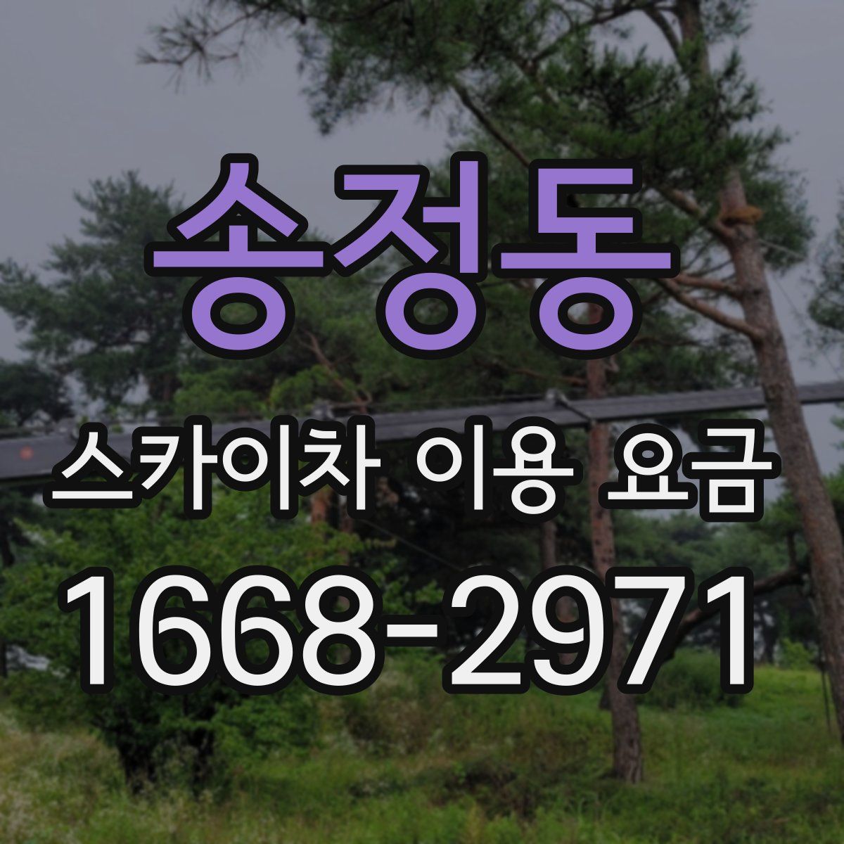 송정동 스카이차 이용 요금