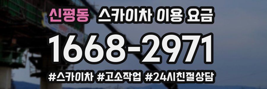 신평동 스카이차 이용 요금