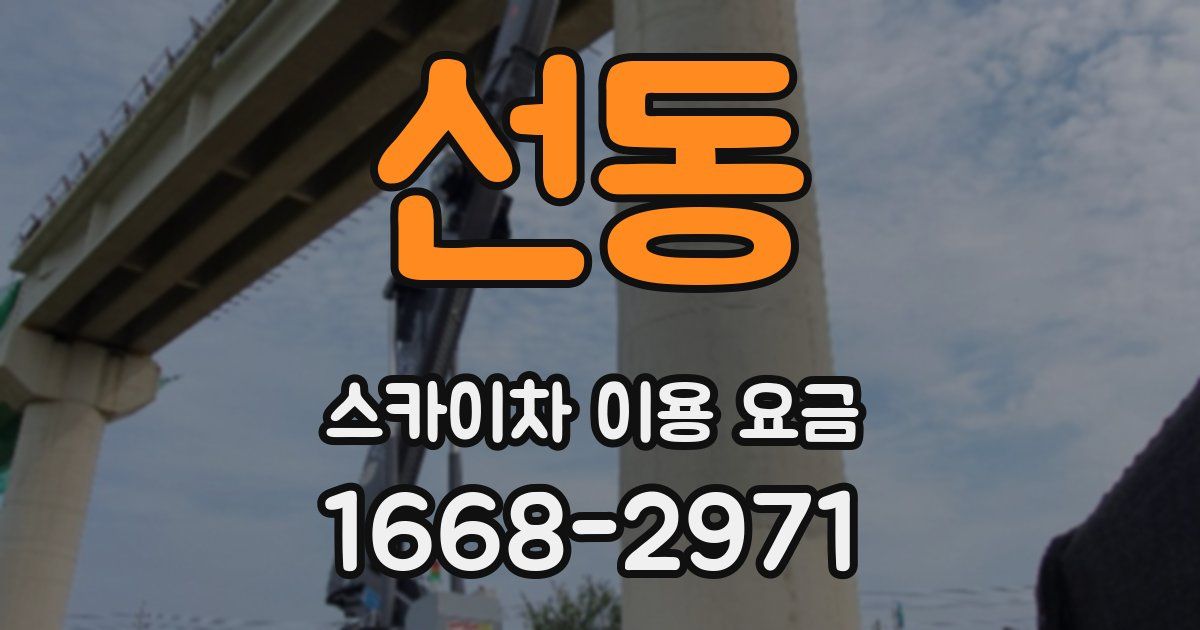 선동 스카이차 이용 요금