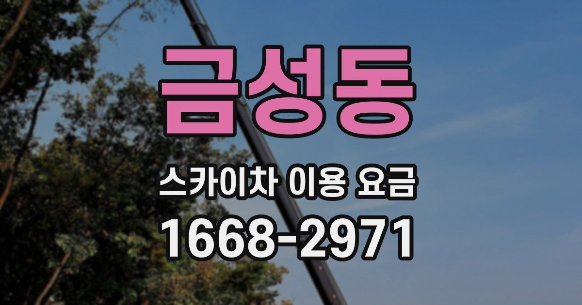 금성동 스카이차 이용 요금