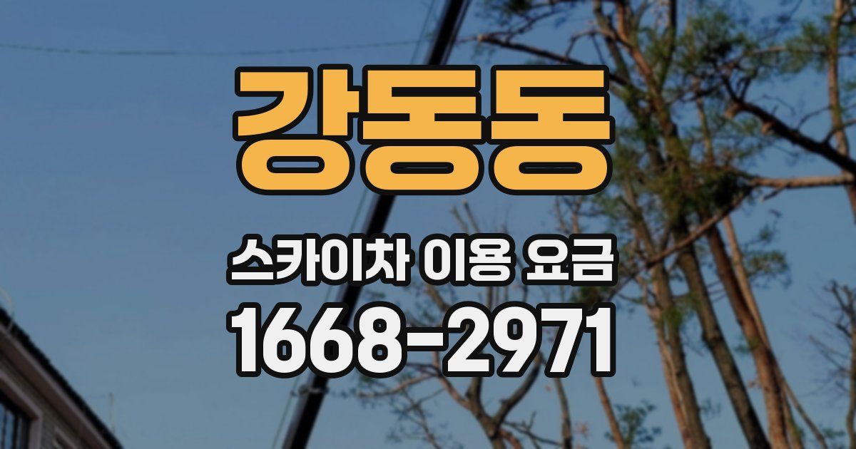 강동동 스카이차 이용 요금