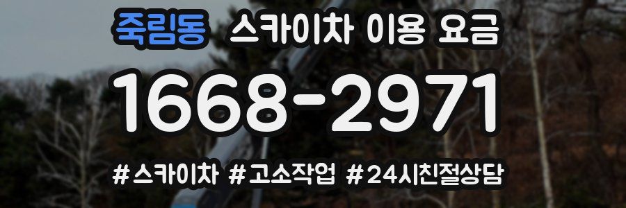 죽림동 스카이차 이용 요금