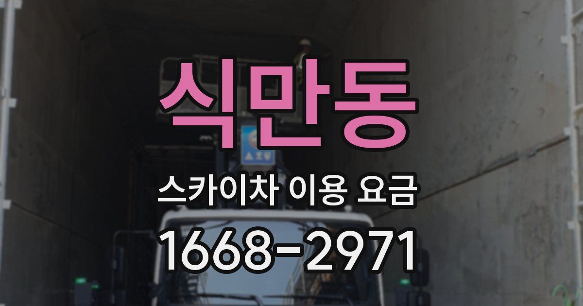 식만동 스카이차 이용 요금
