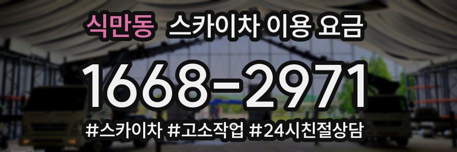 식만동 스카이차 이용 요금