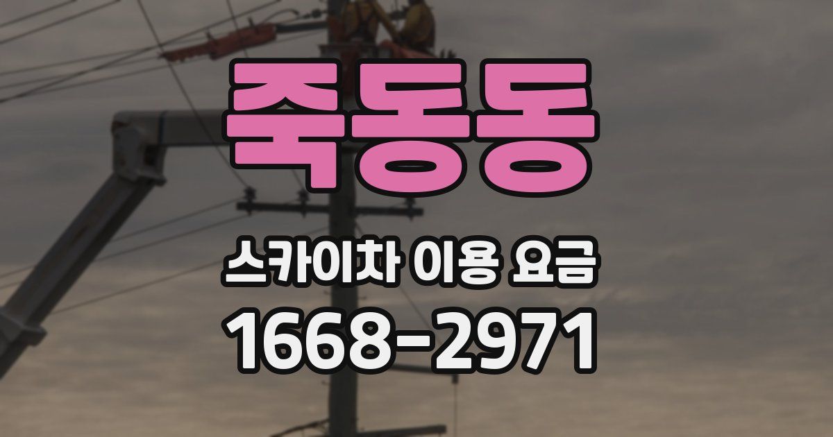 죽동동 스카이차 이용 요금