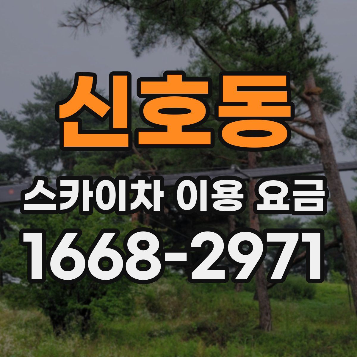 신호동 스카이차 이용 요금