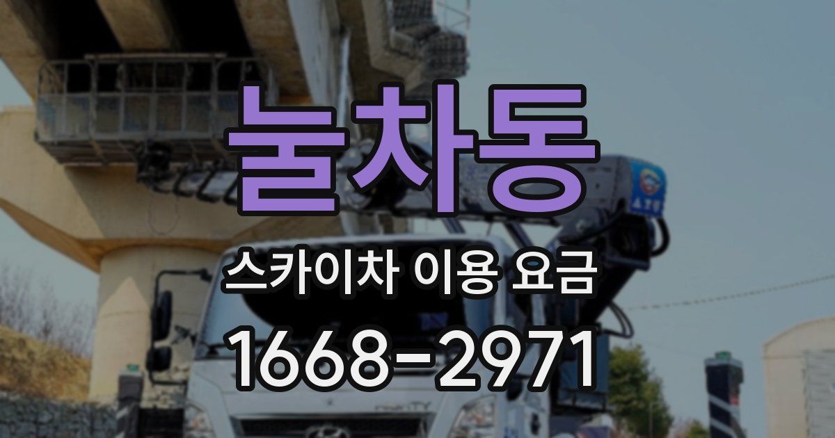 눌차동 스카이차 이용 요금