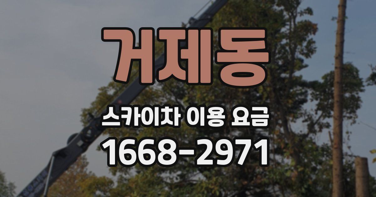 거제동 스카이차 이용 요금