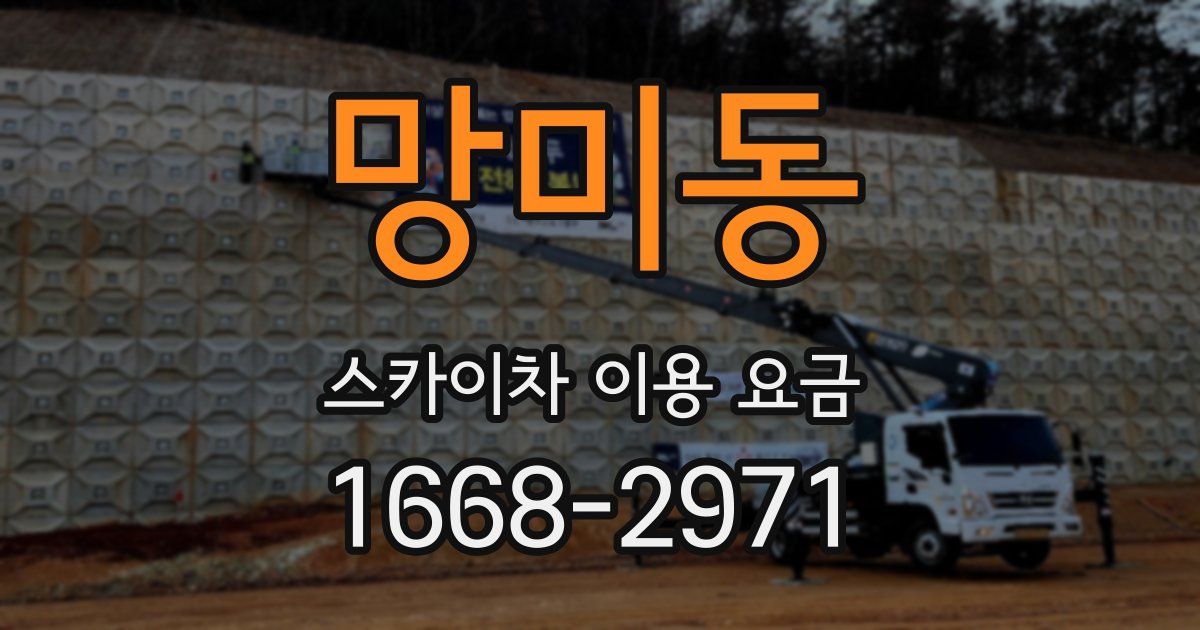 망미동 스카이차 이용 요금