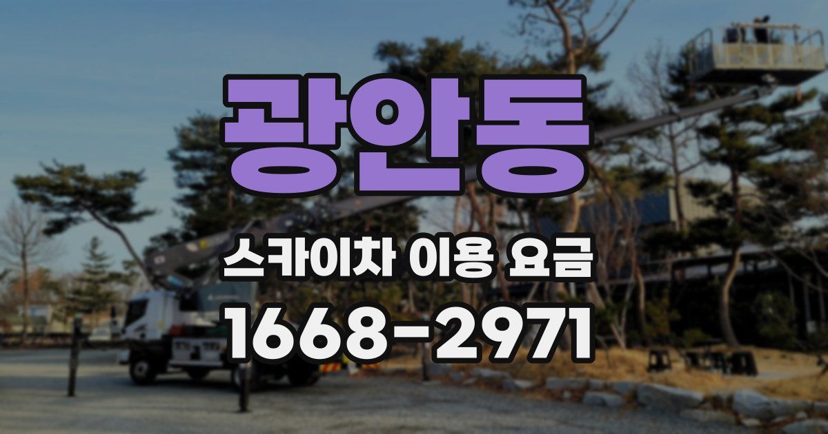 광안동 스카이차 이용 요금