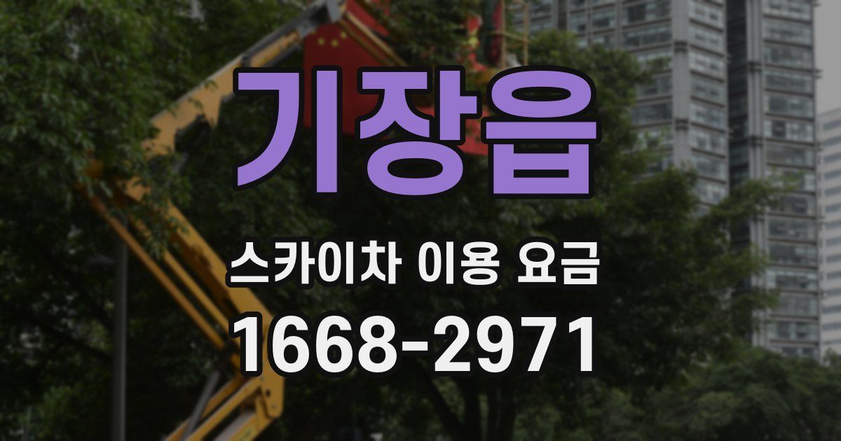 기장읍 스카이차 이용 요금
