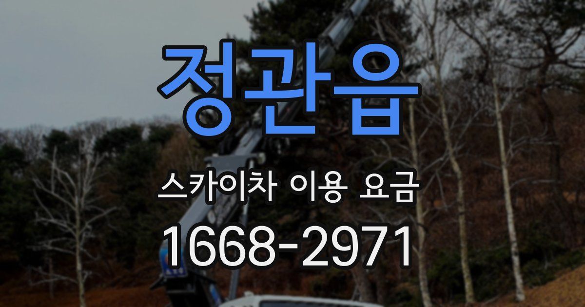 정관읍 스카이차 이용 요금