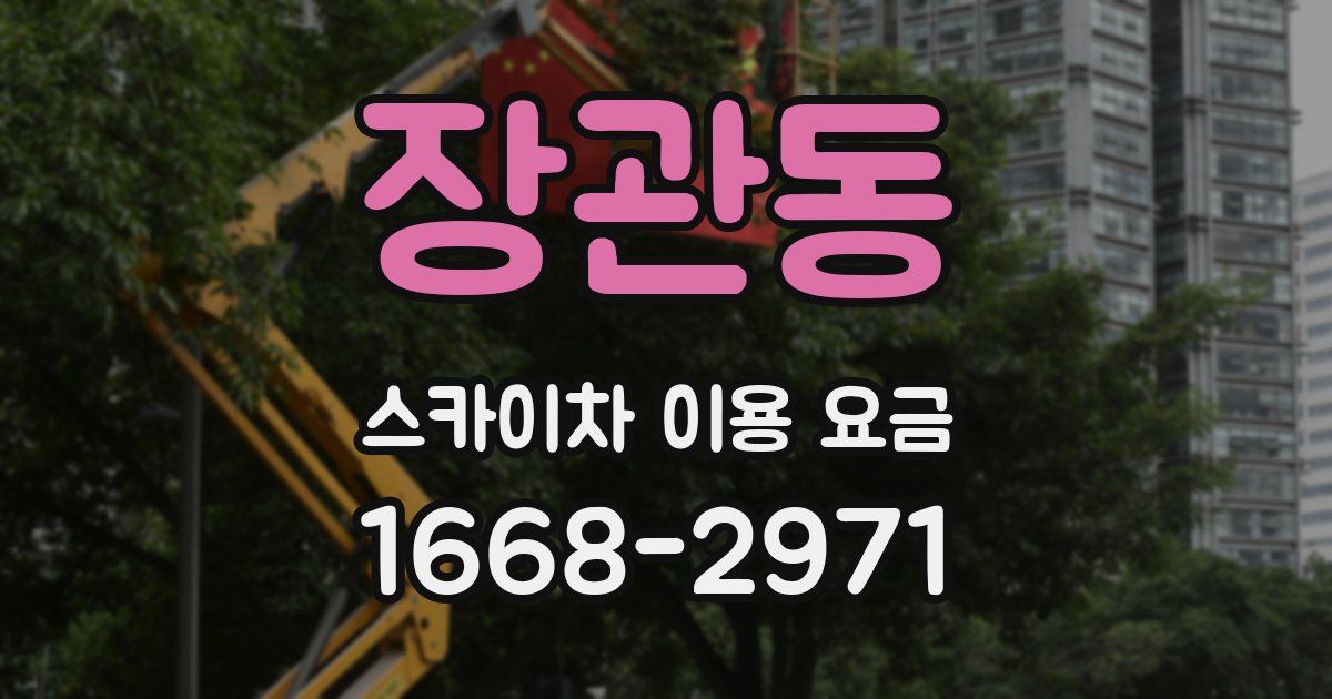 장관동 스카이차 이용 요금