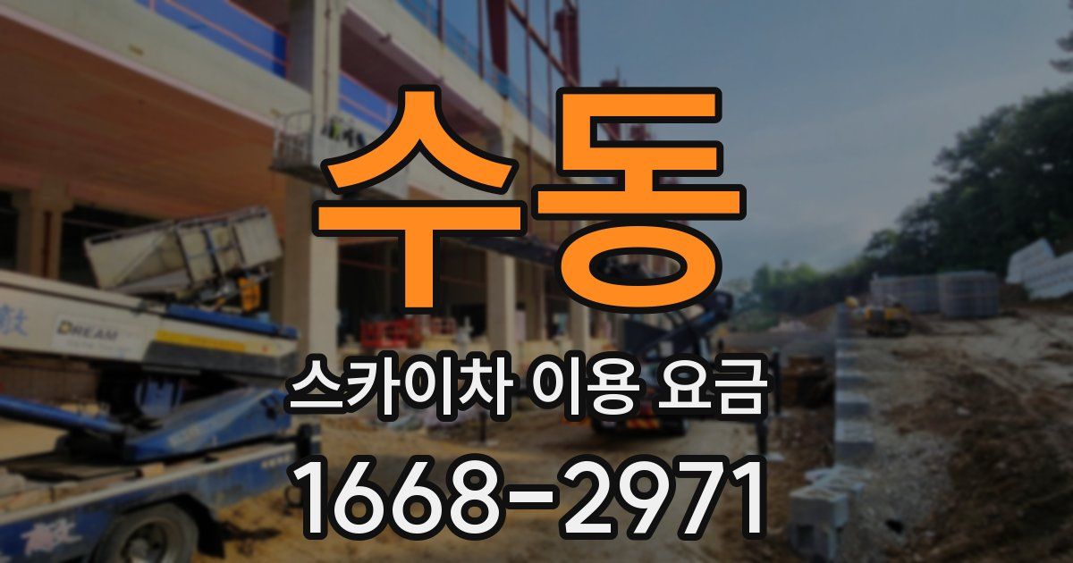 수동 스카이차 이용 요금