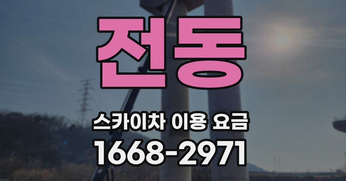 전동 스카이차 이용 요금