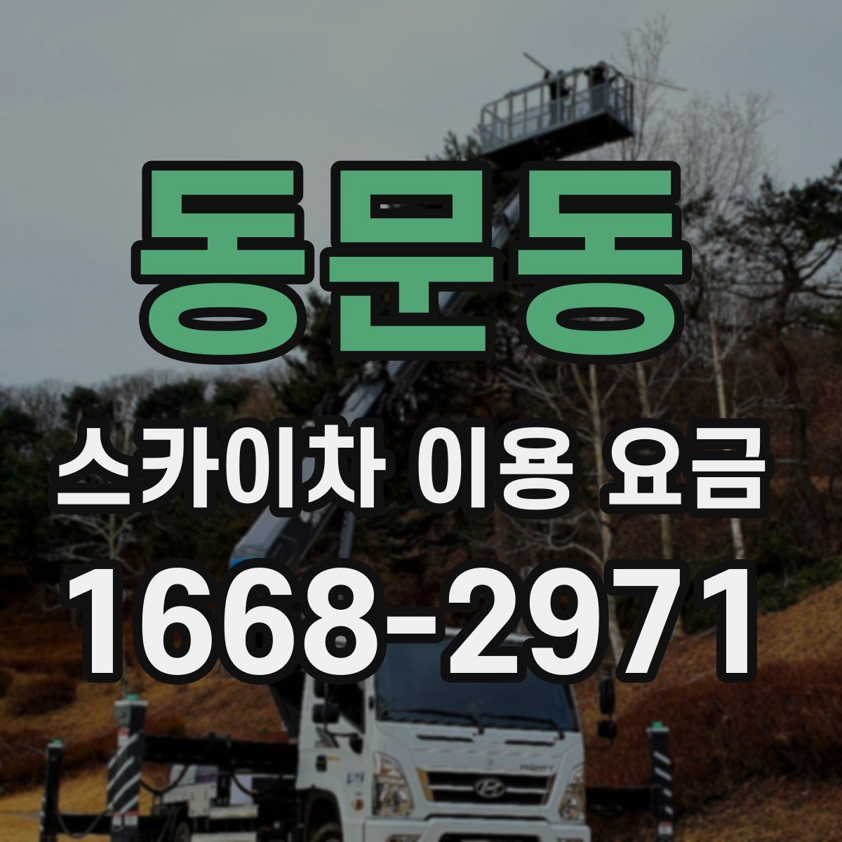 동문동 스카이차 이용 요금