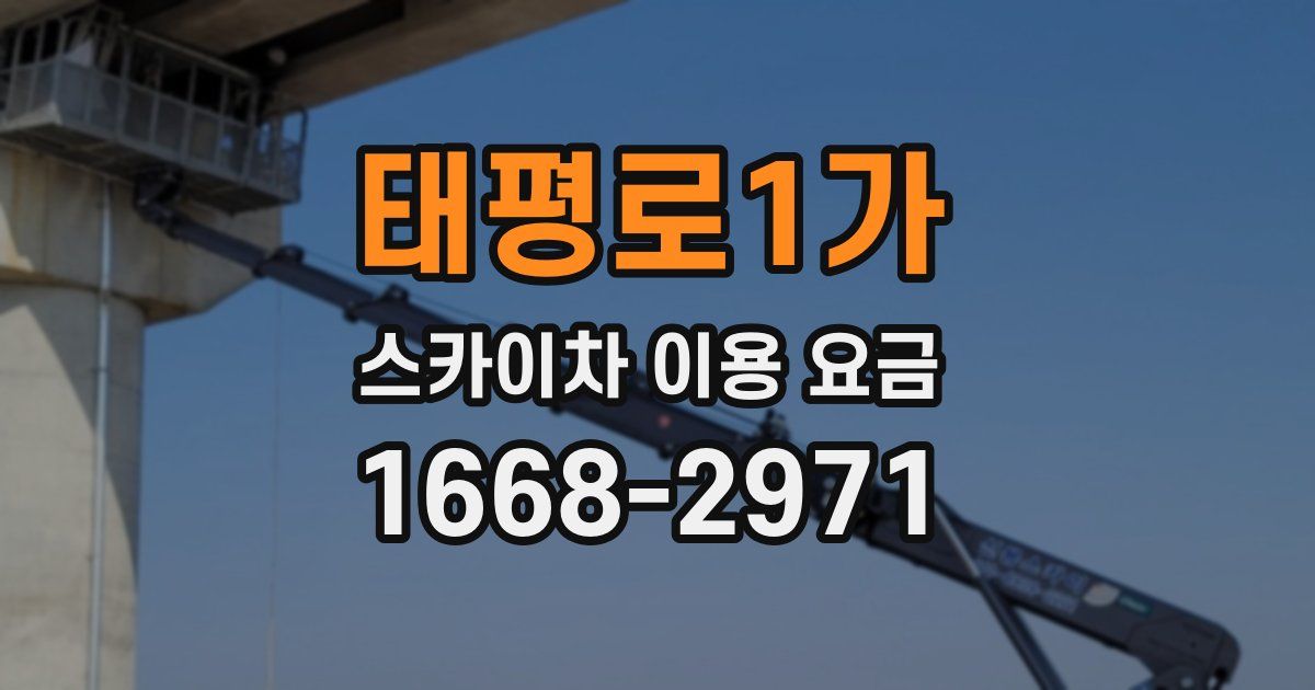 태평로1가 스카이차 이용 요금