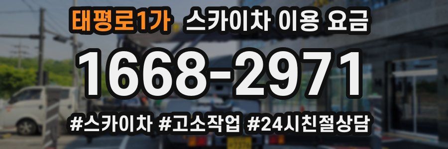 태평로1가 스카이차 이용 요금