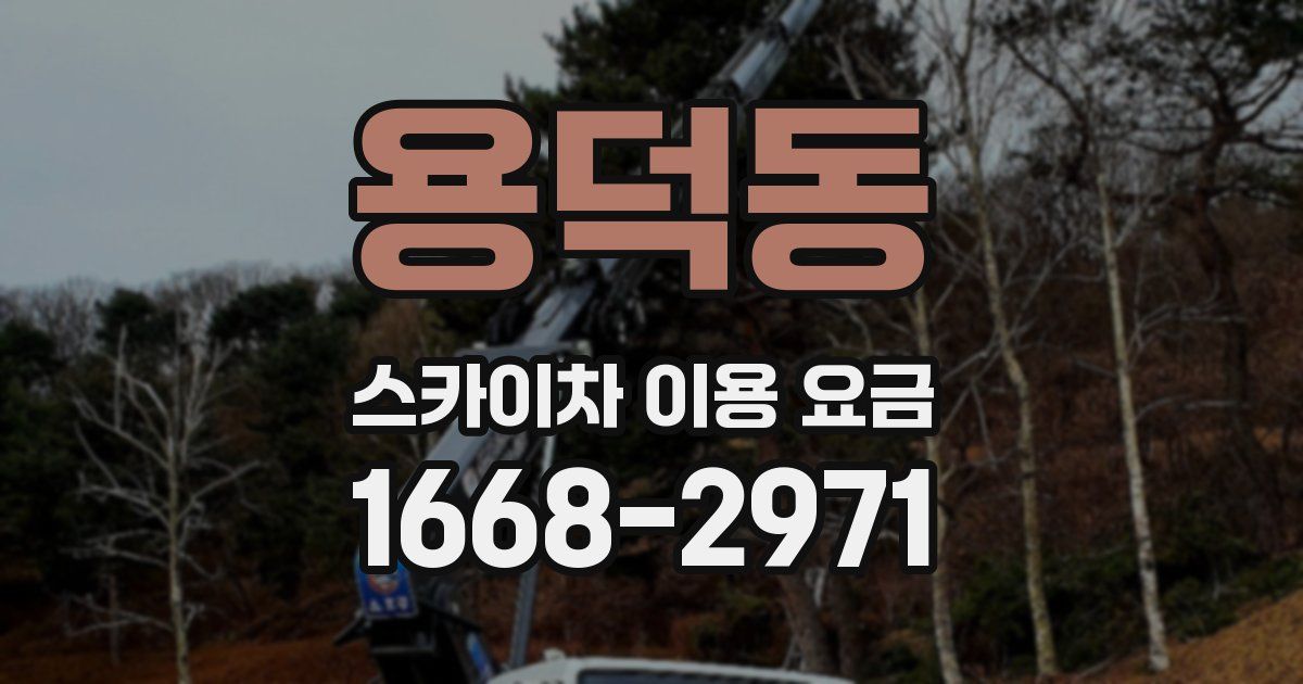 용덕동 스카이차 이용 요금