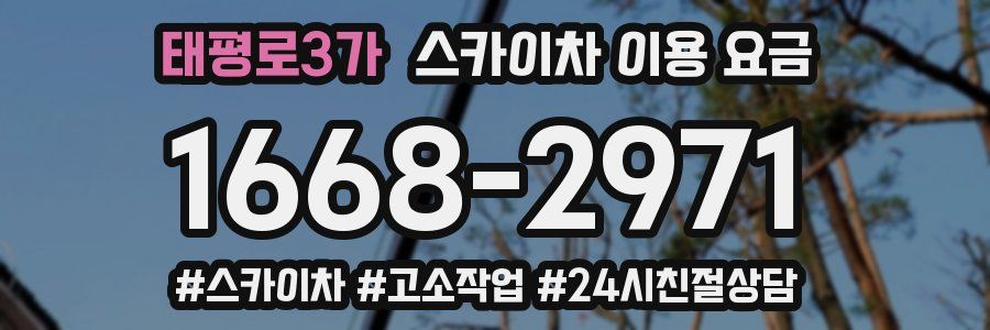 태평로3가 스카이차 이용 요금