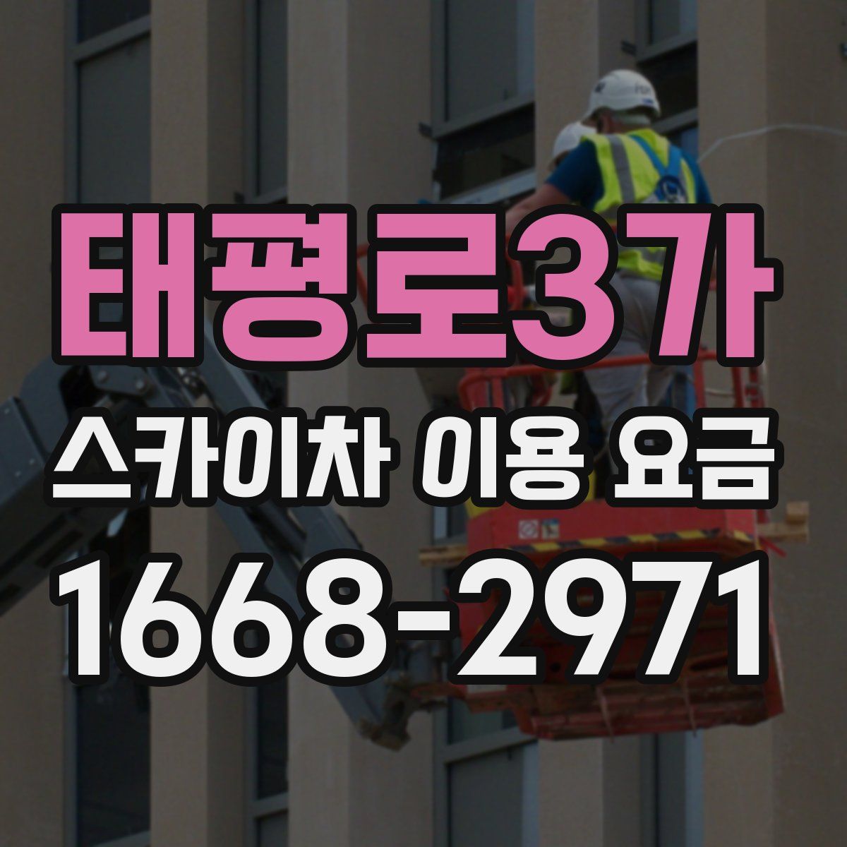 태평로3가 스카이차 이용 요금