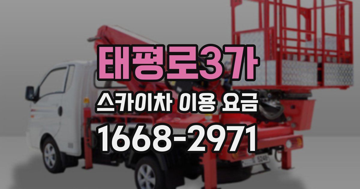 태평로3가 스카이차 이용 요금