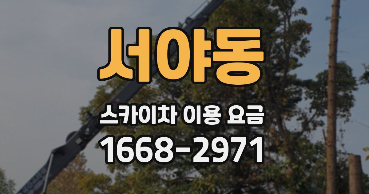 서야동 스카이차 이용 요금