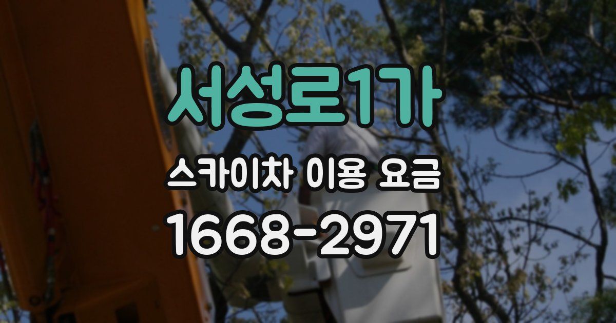 서성로1가 스카이차 이용 요금