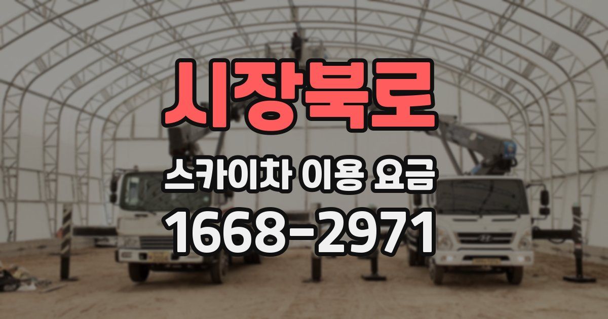 시장북로 스카이차 이용 요금