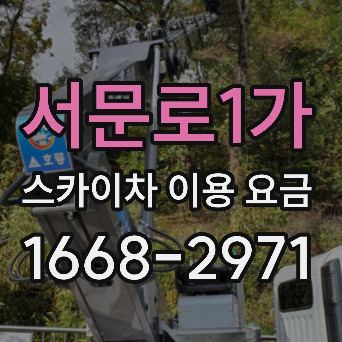 서문로1가 스카이차 이용 요금