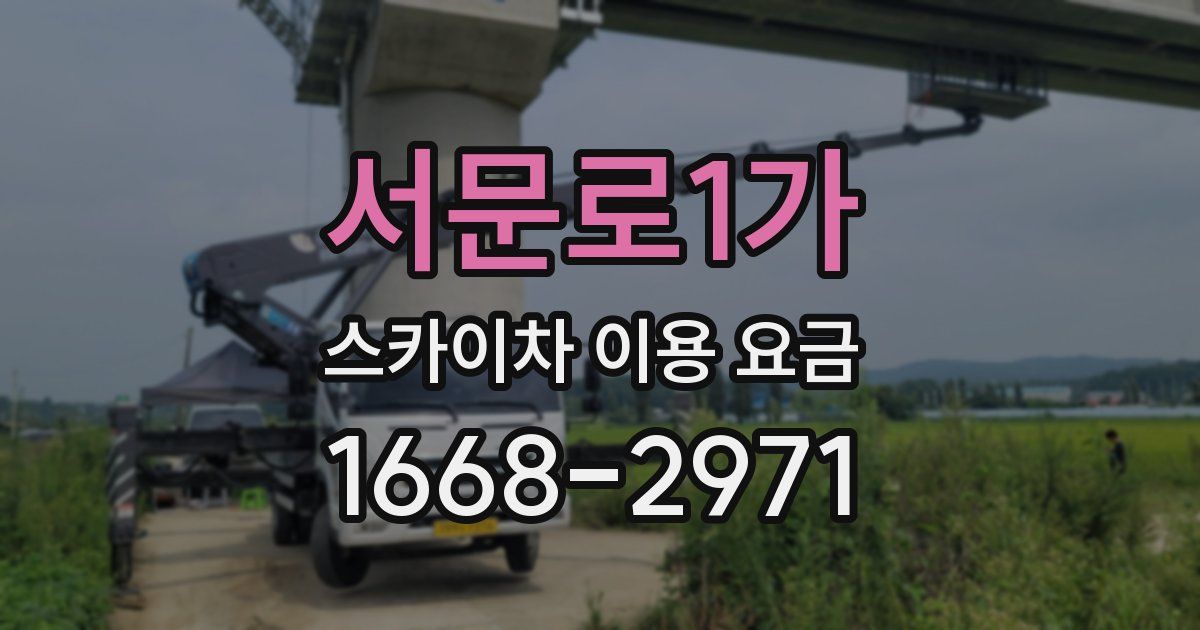 서문로1가 스카이차 이용 요금