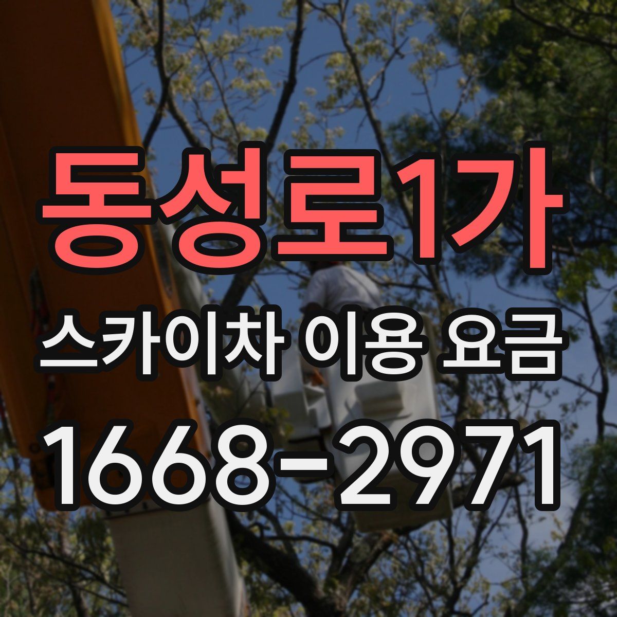 동성로1가 스카이차 이용 요금