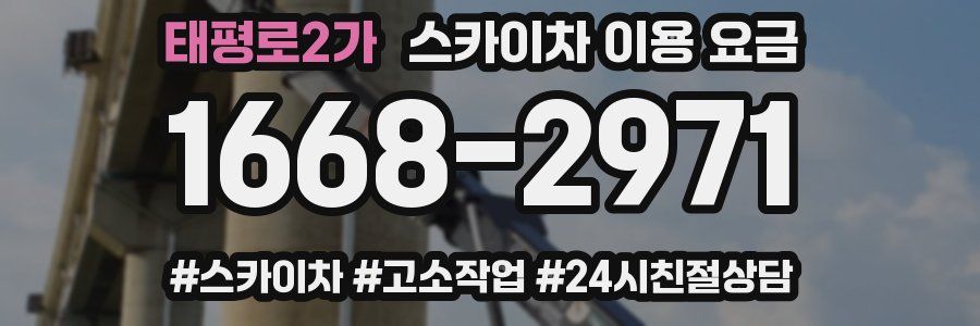 태평로2가 스카이차 이용 요금