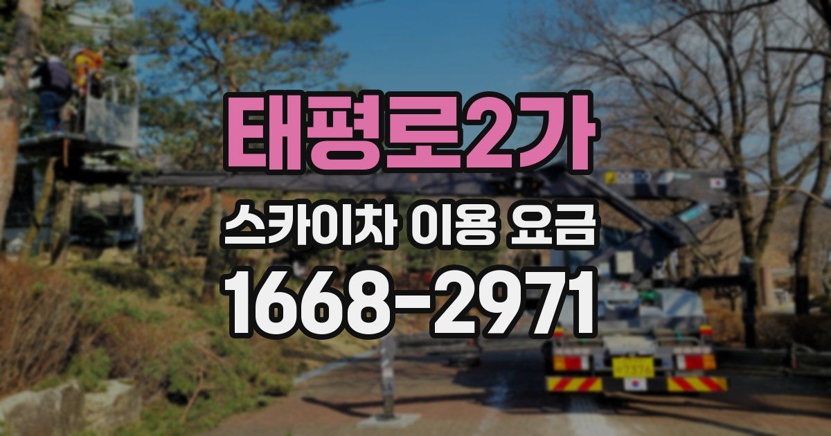 태평로2가 스카이차 이용 요금