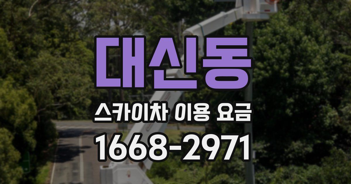대신동 스카이차 이용 요금