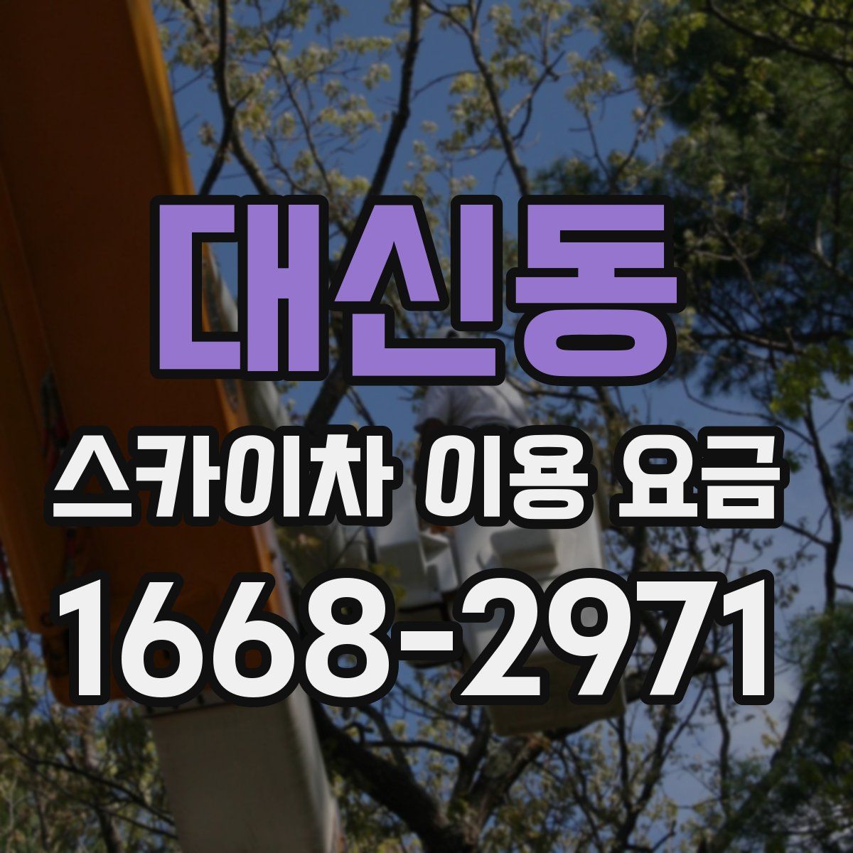 대신동 스카이차 이용 요금