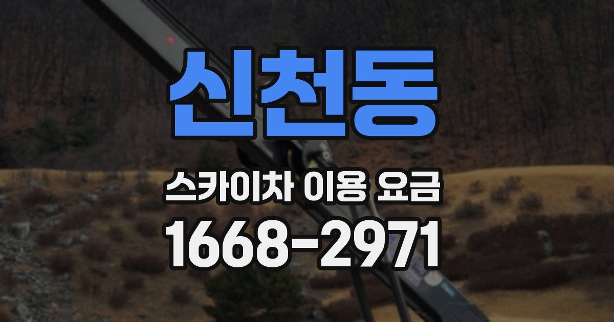 신천동 스카이차 이용 요금