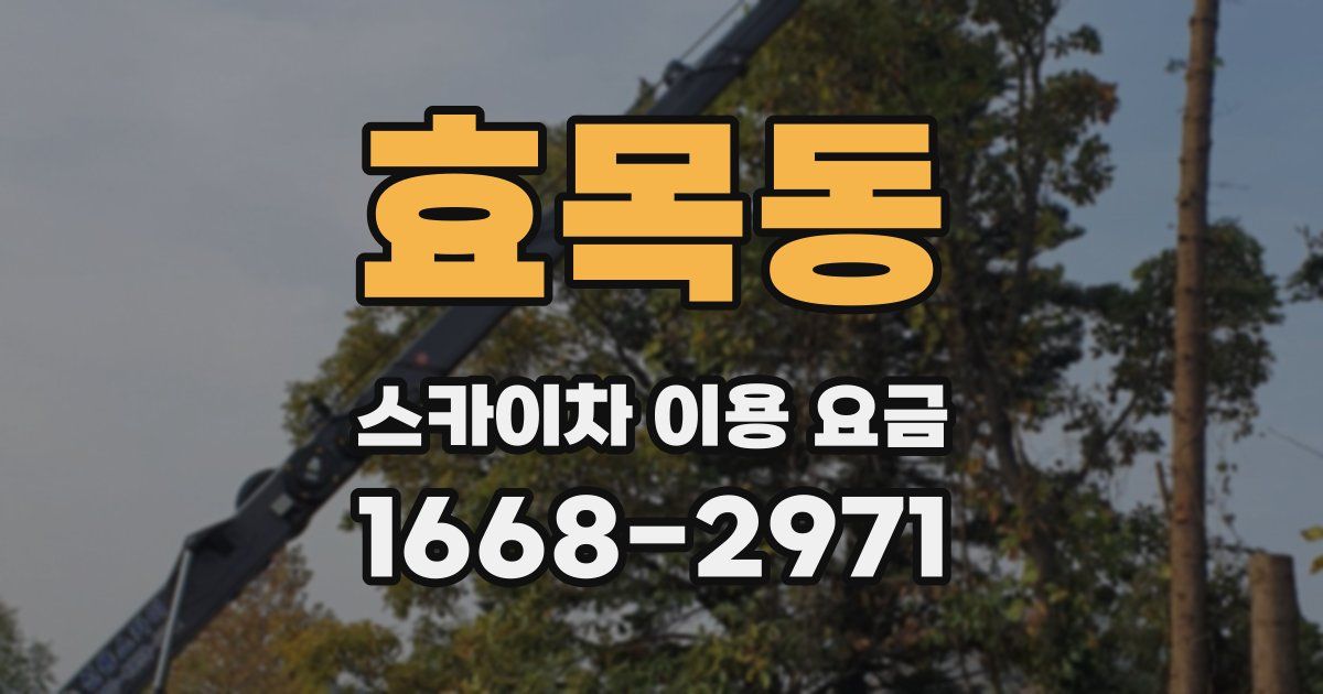 효목동 스카이차 이용 요금