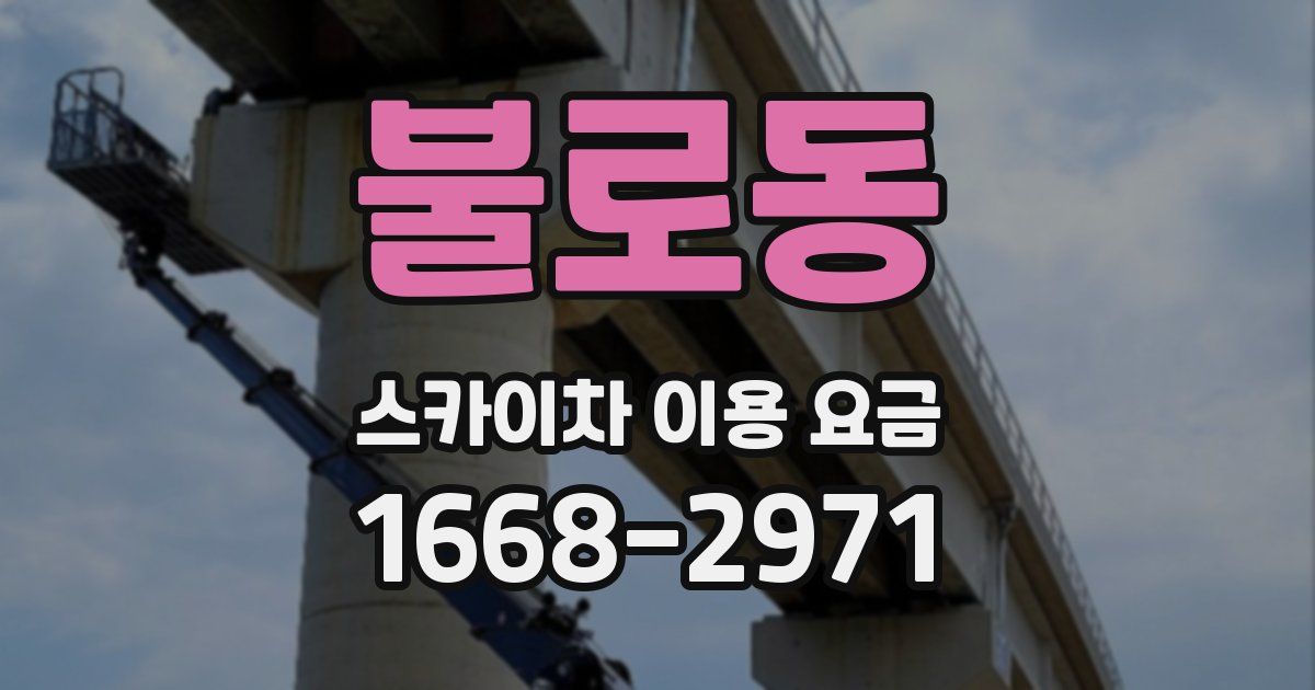 불로동 스카이차 이용 요금